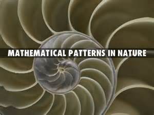 Exploring the Curves in Chaos Theory: An Introduction to Fractals and Their Applications
